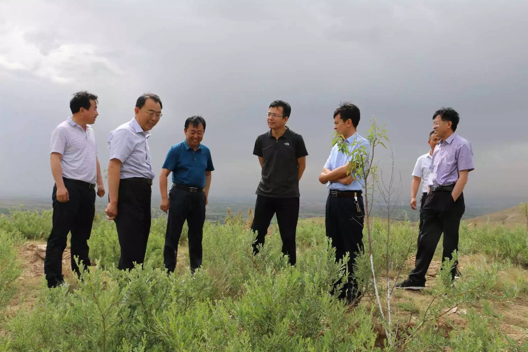 6月2日,县委书记冯晓雷深入守口堡项目区,孤山项目区和大泉山,就全县