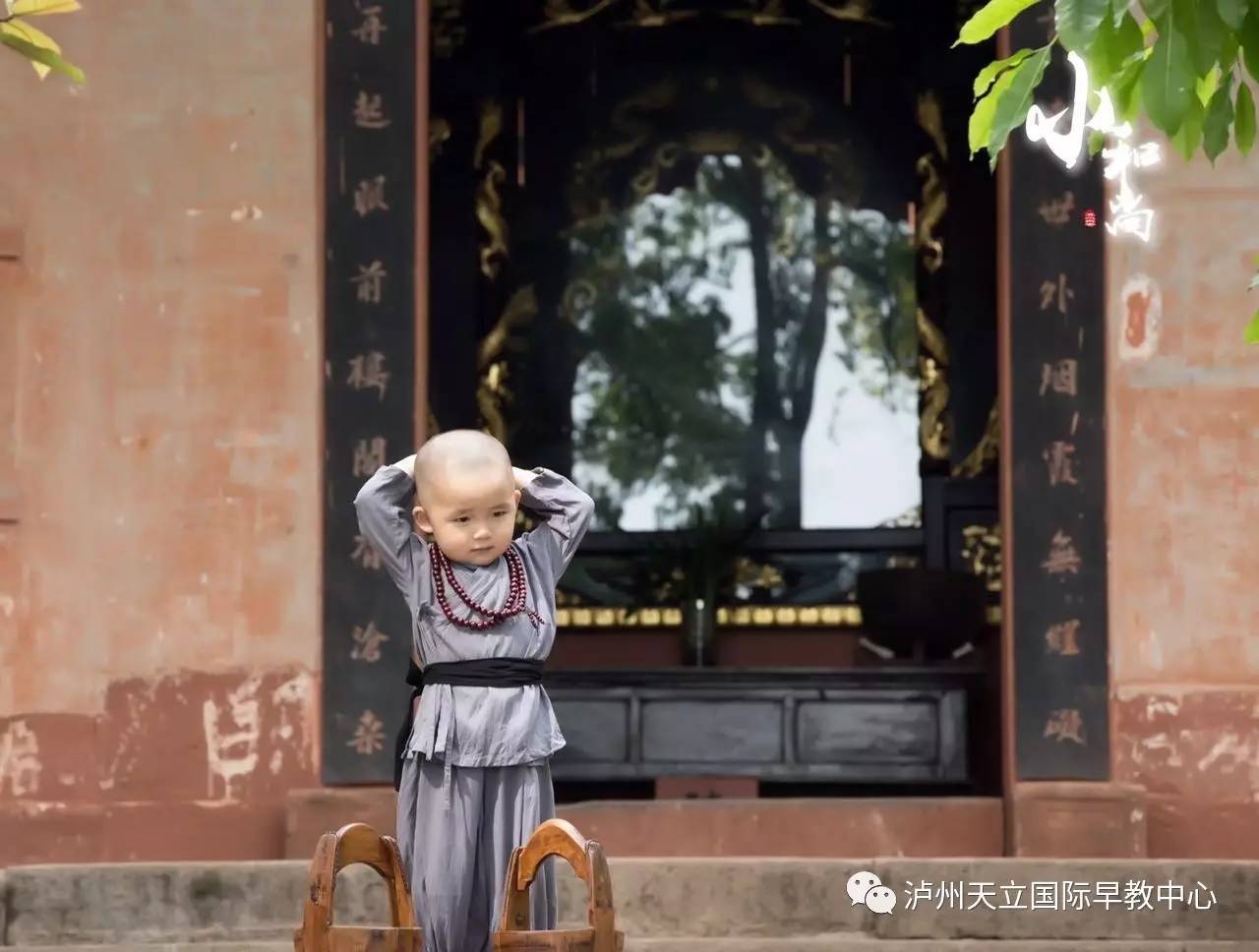 欲罢不能的请往下看萌翻泸州众网友近日,最萌小和尚又出写真啦最终在