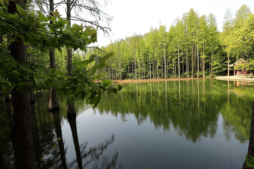 波爾登森林公園在雞公山附近,是人工和自然的結合的傑作,既有南方園林