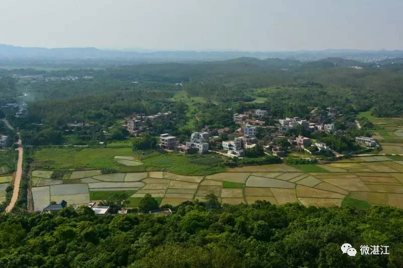 廉江塘蓬最大村图片