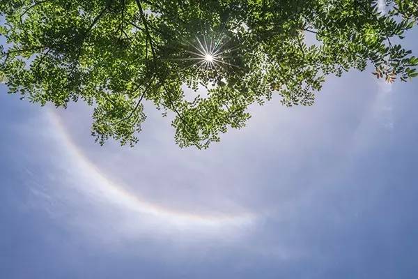 青島日暈昨天刷爆朋友圈本週5天有雨高考正好避開天氣也助考生一臂之