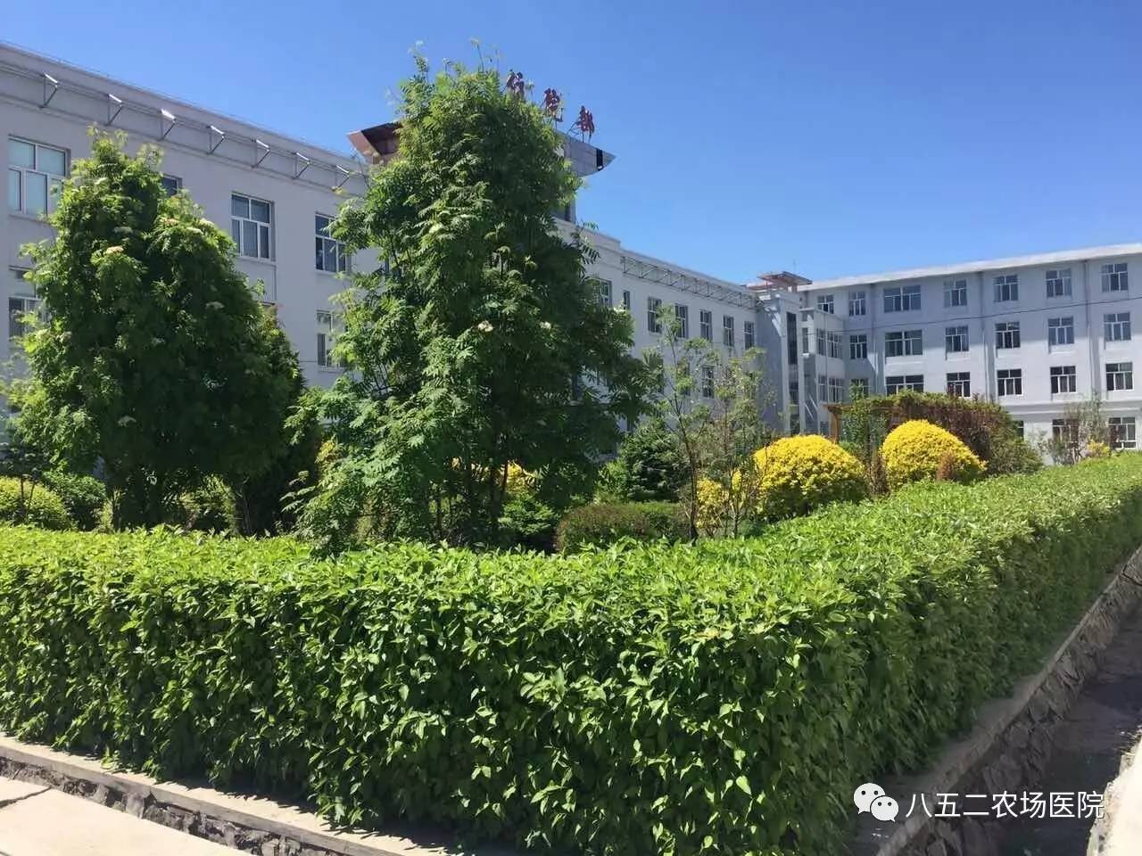 二等獎夕陽下的靜謐 科室:手術室 攝影:張珊珊住院部的後花園 科室