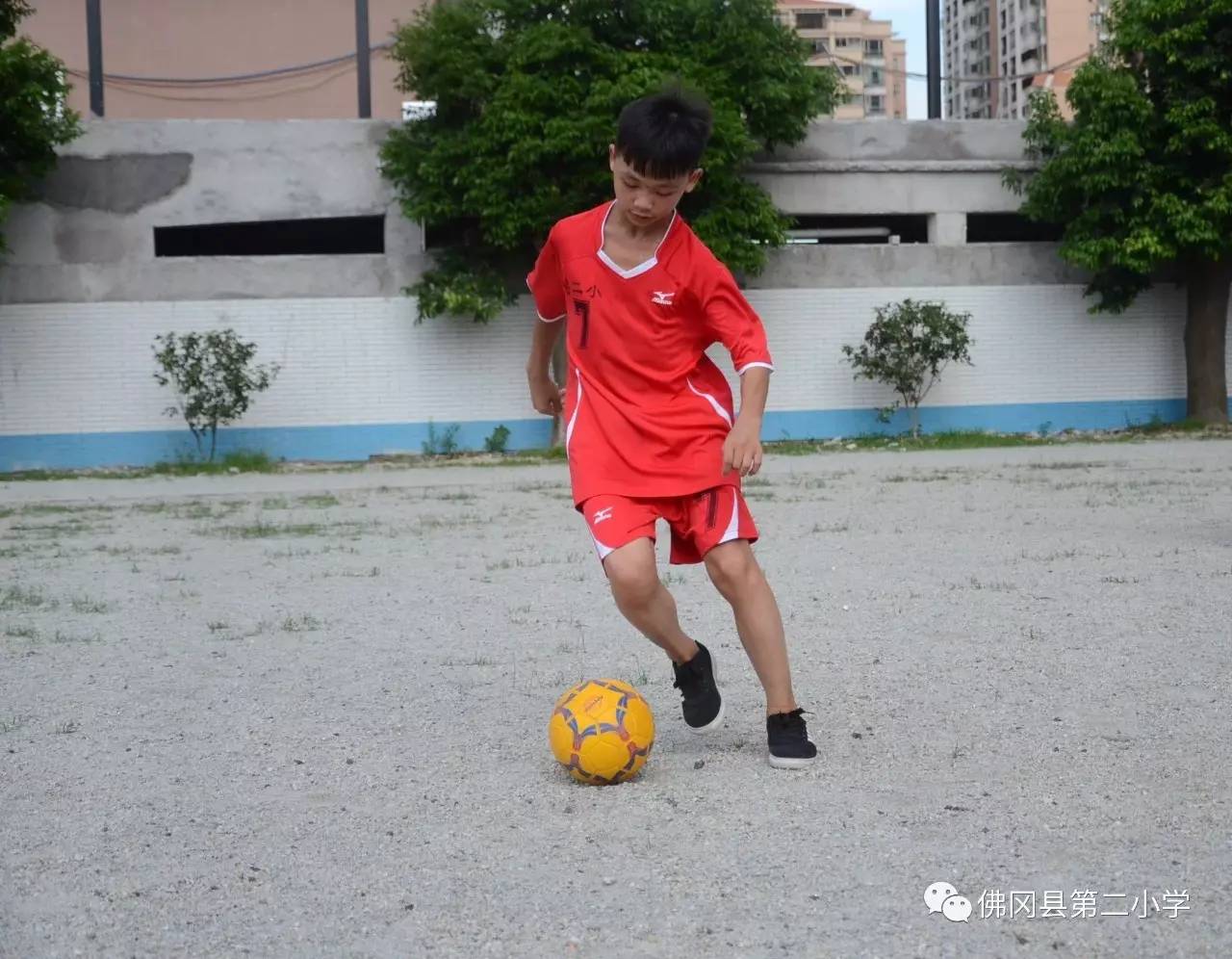 黄家照陈廷基陈贝宁曹宇隽黄铭辉李嘉梁宋鸿彬吴艺华易榕添张文钊朱