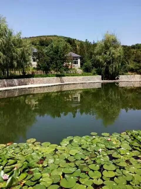 摘桃子嘍神泉山莊帶你摘春雪蜜桃賞山水美景