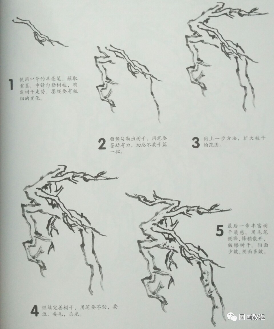 國畫教程山水樹的畫法