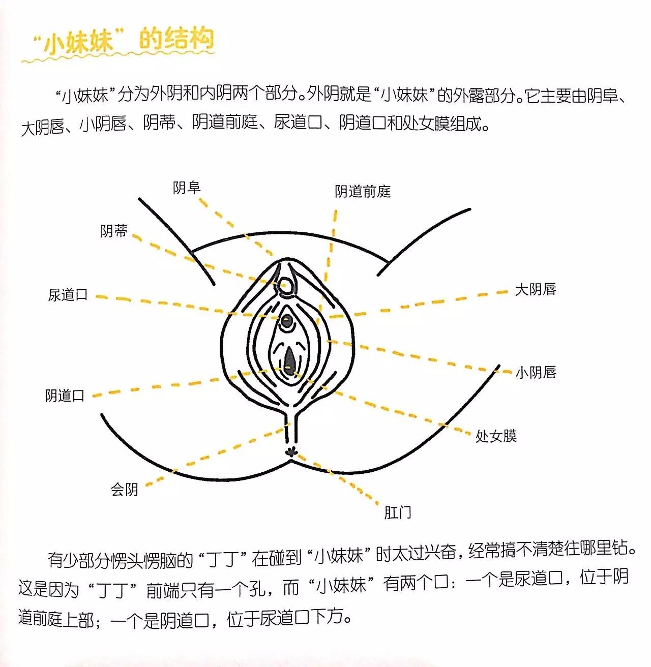 什么是小黄书图片