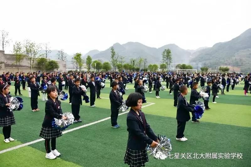 亮出我们的风采北大附校小学部师生成果展示