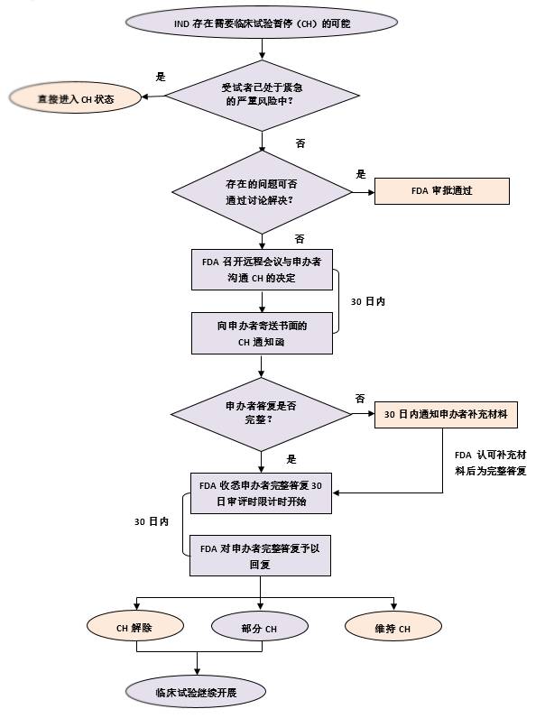 美國藥物臨床試驗暫停機制研究