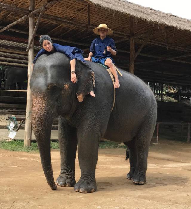 来到南邦,除了乘坐马车,体验泰国古代帝王的出行方式——骑乘大象也是