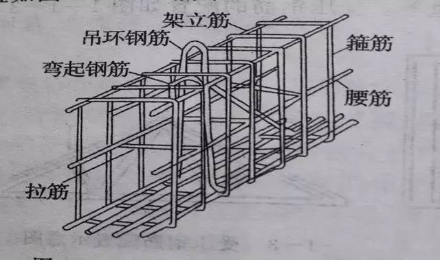 箍筋的作用图片