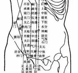 那为什么按肚子会有这么大的作用呢?下面我们先来看一下人体的经络图.