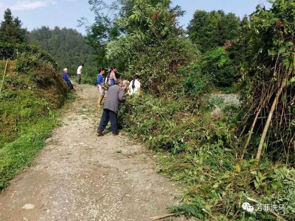 洗马镇梅子坝村发挥党员先锋模范带头作用助推脱贫攻坚