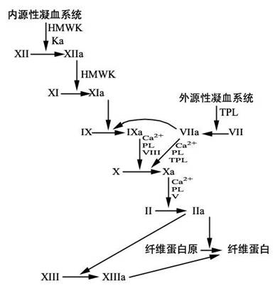 便民药师新型口服抗凝药你了解多少