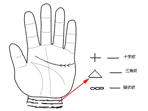 手腕线解释图图片