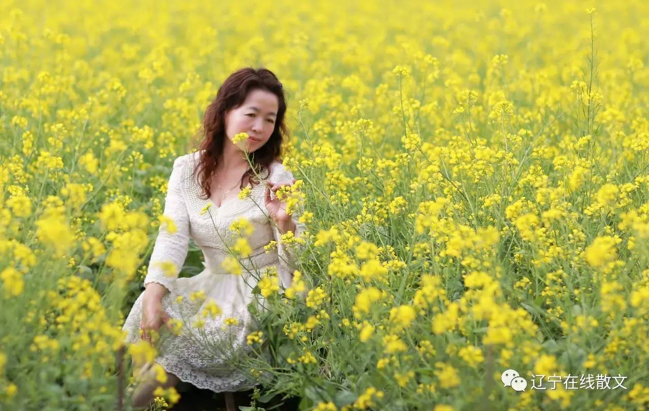 长沙张婷王雪英未图片