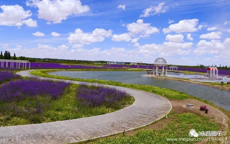 祁連山生態系統張掖溼地公園!山丹明長城!金昌九棵樹沙漠景區!