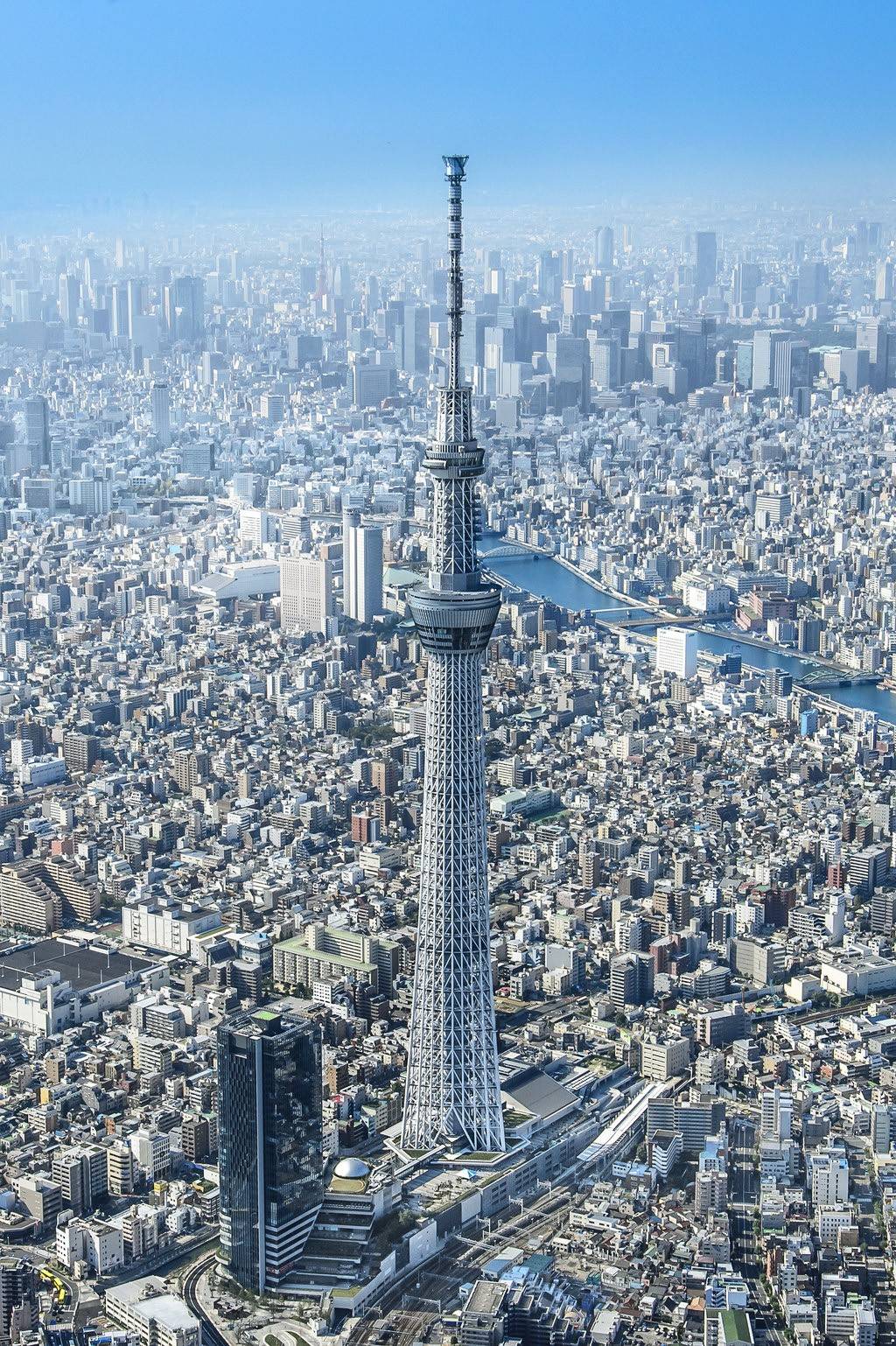 双塔摩天大楼日本图片