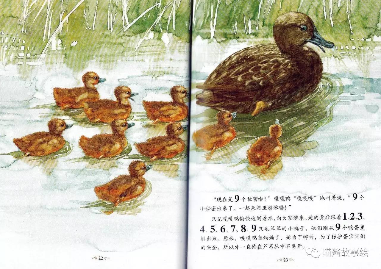 小木鸭绘本故事内容图片