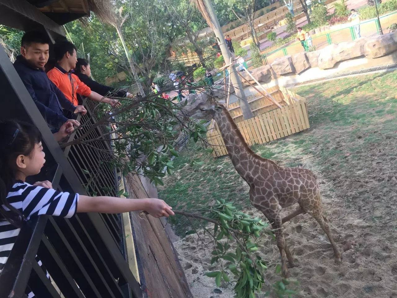 線路1東莞隱賢山莊親親動物園6大主題樂園歡樂休閒一天