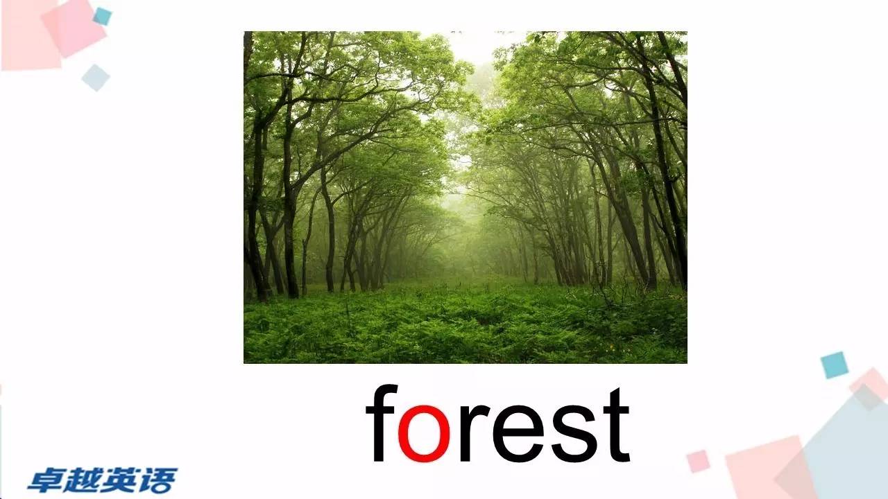 forest怎么读图片