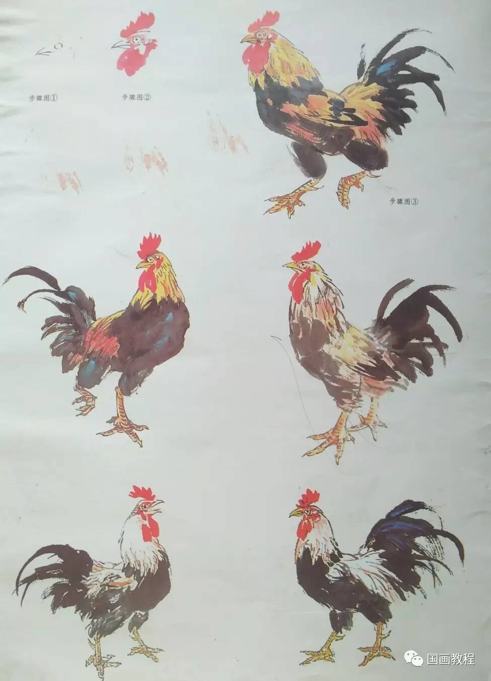 国画教程12集公鸡的步骤画法5