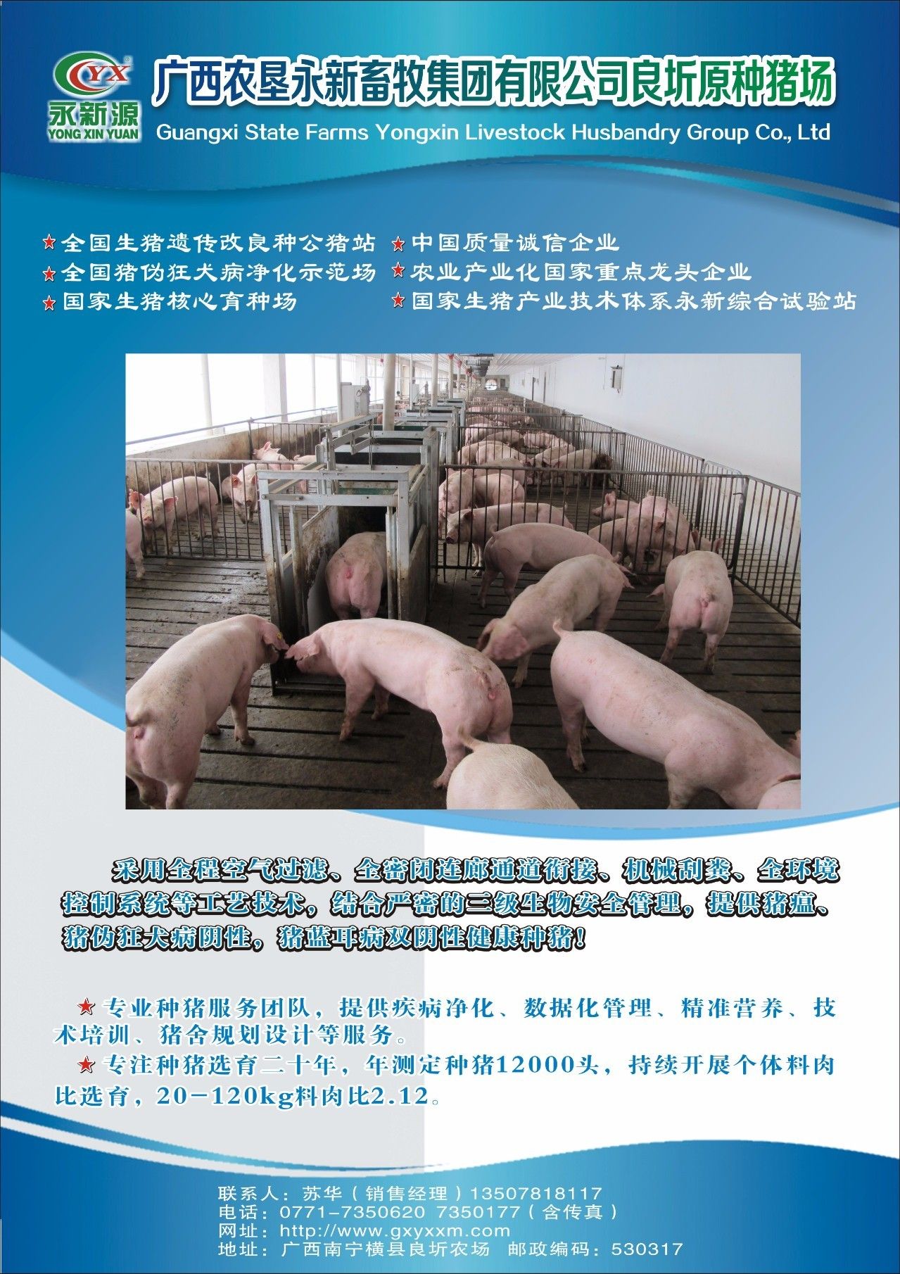 猪场猪群结构,占栏头数以及圈栏数的计算方法
