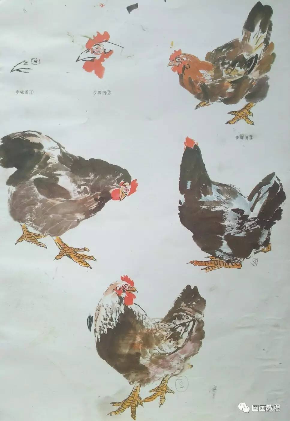 国画教程12集公鸡的步骤画法5