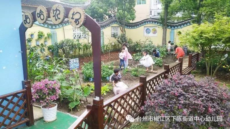 下陳街道中心幼兒園面向全區展示園本課程《快樂種植》