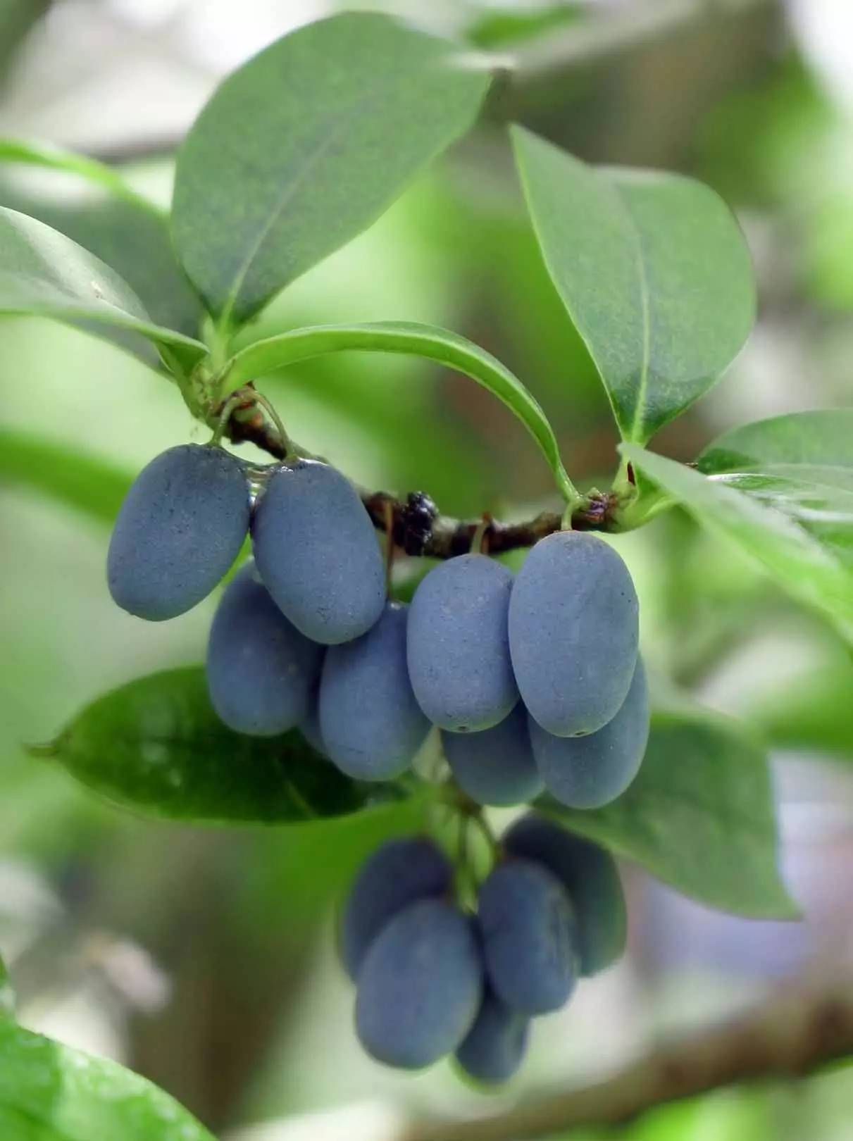 孟津城事在广场东南角看到