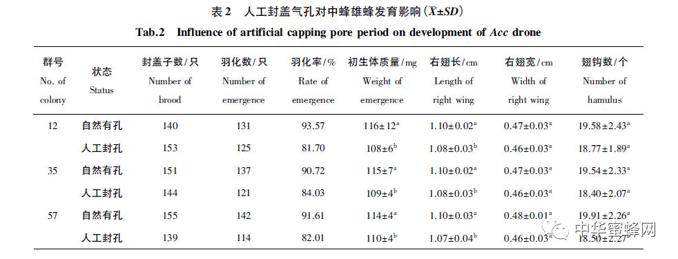 中蜂雄蜂封盖气孔结构及功能分析