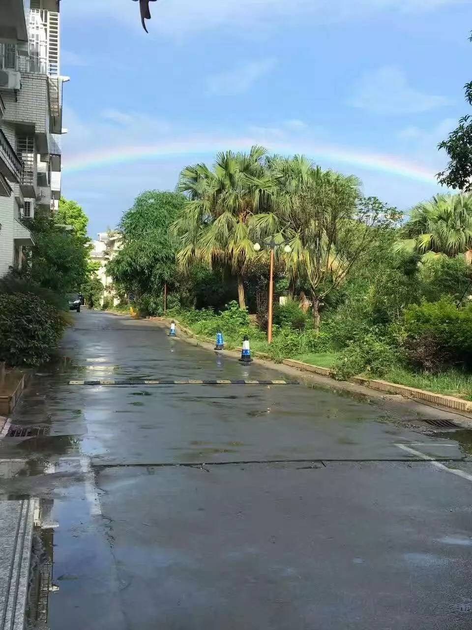 桂林雨後彩虹美翻了,沒趕上的家長們戳圖