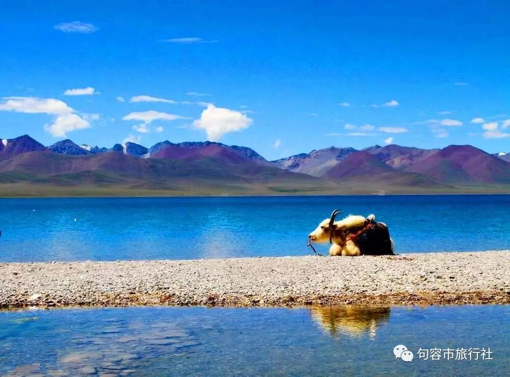 高原九寨林芝雅江大峡谷圣地拉萨后藏探秘日喀则圣湖纳木错双飞一卧十