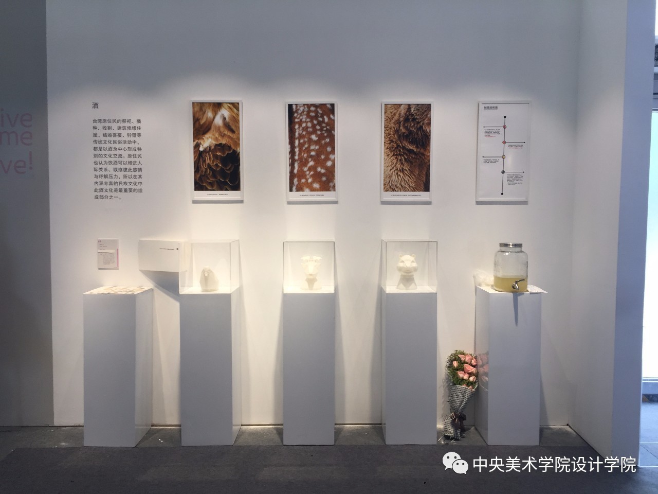 毕业设计展台布置图片图片