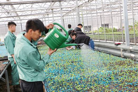 广东机电职业技术学院汽车学院_广东茂名农林科技职业学院_广州科技职业技术学院还是广东岭南职业技术学院好