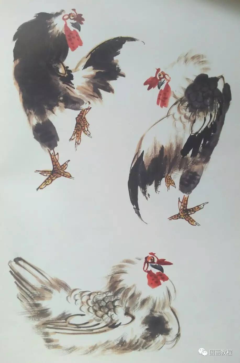 【国画教程】鸡的步骤画法(6)