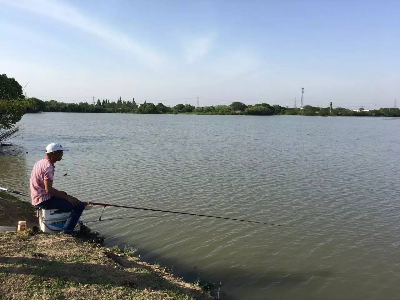 穿過桑樹林有一個釣魚人的樂園