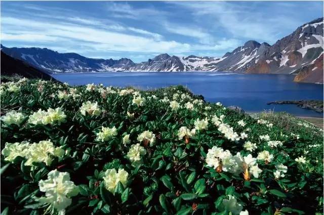 西坡完整地保留了長白山的原始風貌,有漫山花海的高山花園,有深邃清冽