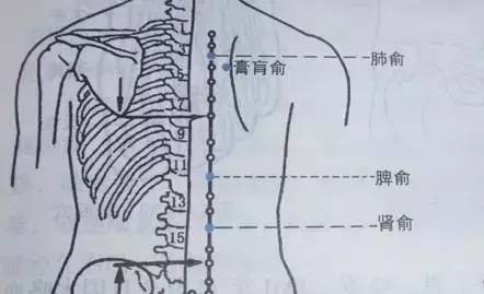 【艾養身】胃痛其實不難治!試試艾灸這組配穴吧!