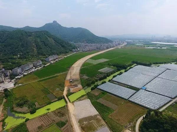 疏港公路温峤段征地房屋拆迁涉及楼旗,界坑,莞渭童,上珙,上河岙村共22