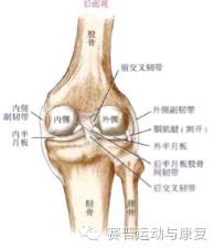 膝關節之半月板損傷的康復訓練