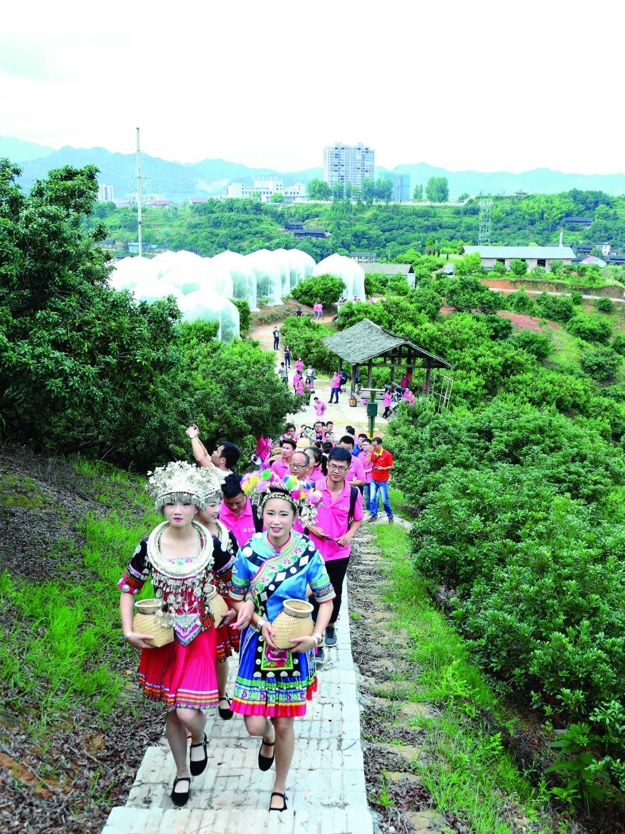 情醉杨梅山