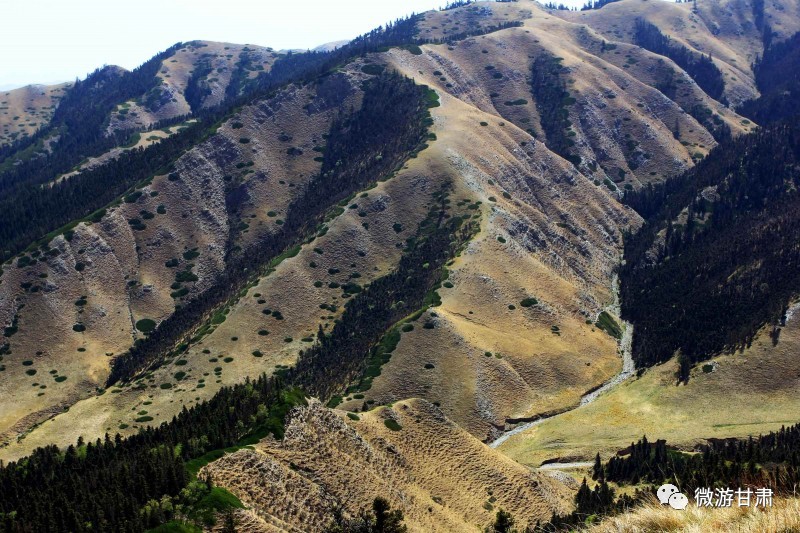 昌灵山位于古浪县东端,与景泰县寿鹿山连脉,因山上旧有远近闻名的