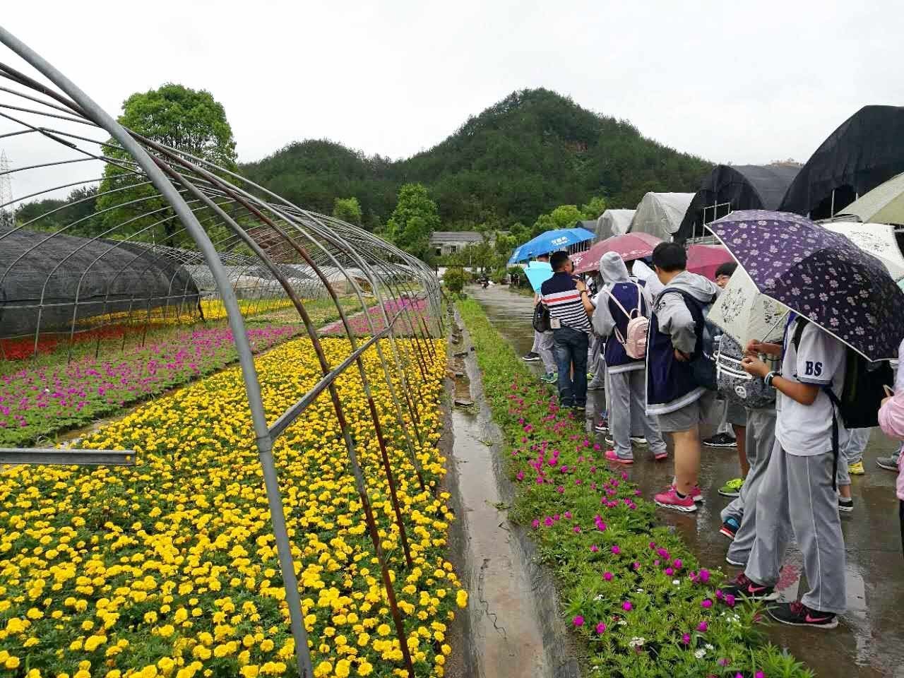 徽州园林艺术研学旅游基地,参加微景观制作的研学旅游活动