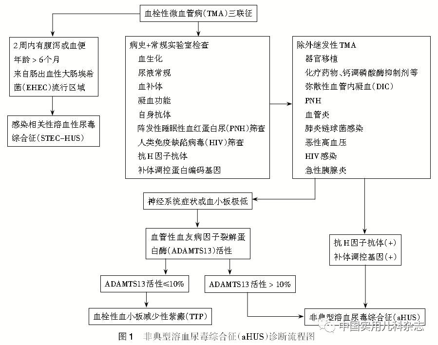 大学附属北京儿童医院,沈 颖(首都医科大学附属北京儿童医院,樊剑锋