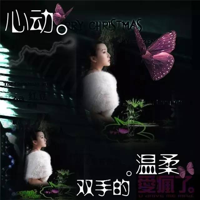 一曲《一生痴情只为你》太好听了!世上最难,是一个真心待你的人