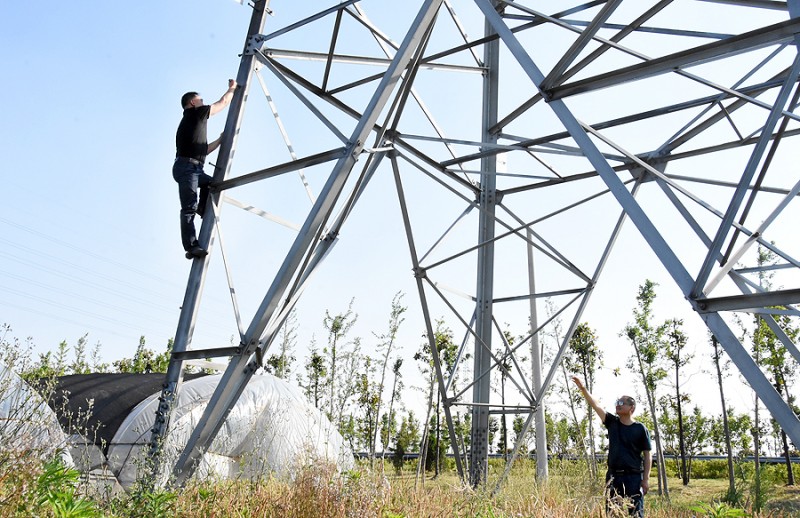 5月12日,有人想去掏铁塔上的鸟窝,正在爬塔,被x先生制止了