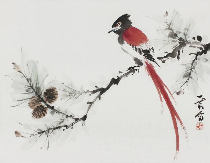 国画绶带鸟作品图片