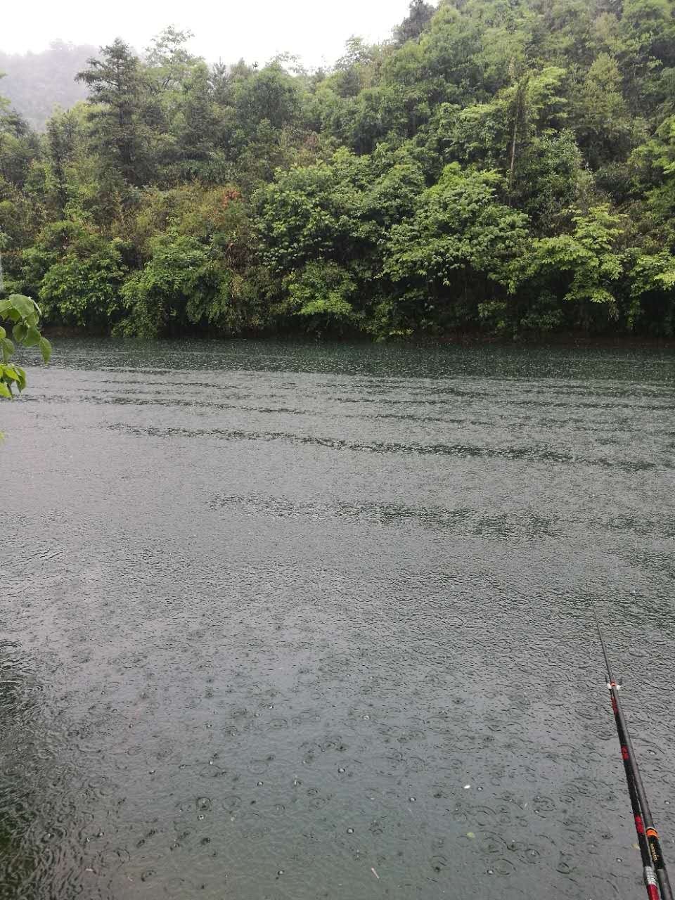 雨中垂钓,一份期待,一份惊喜