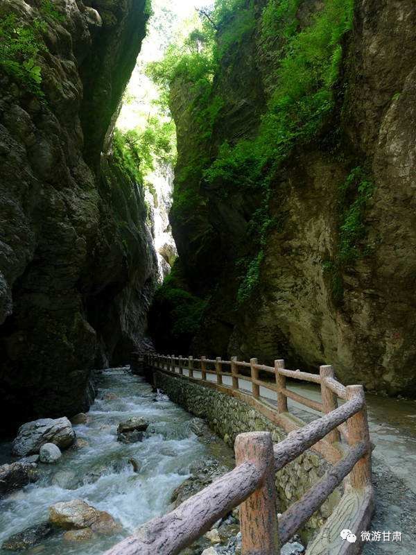 不能錯過的甘肅美景之遮陽山篇