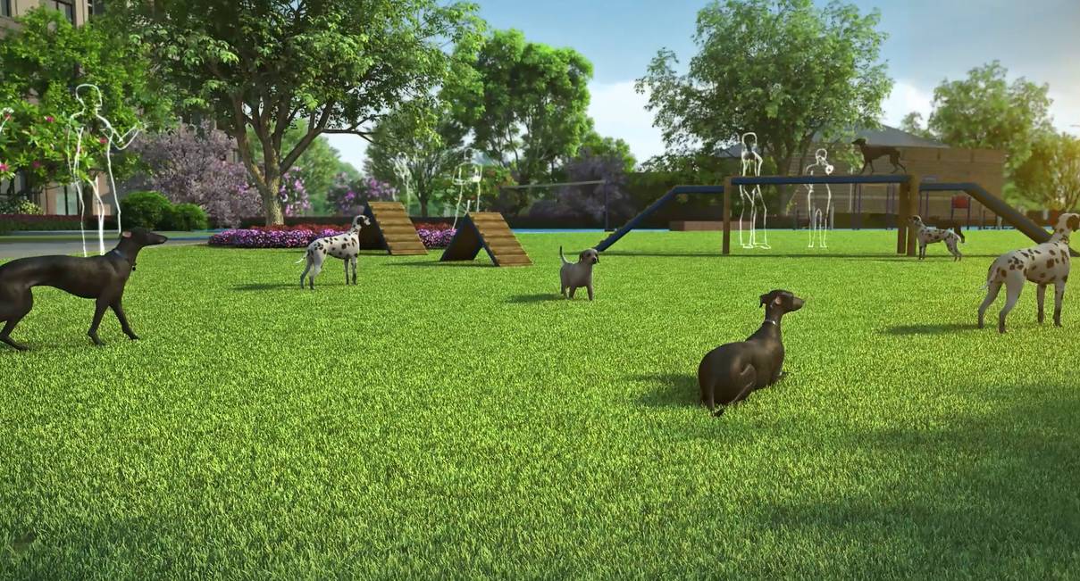 在社区的中央公园里,有专门为宠物开辟的小小乐园,让动物也成为社区里